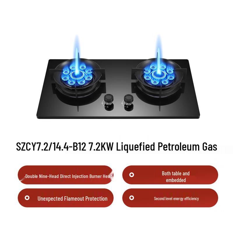 Royalstar 7.2kW Double Burner Gas Stove CN plug (adapter included)
