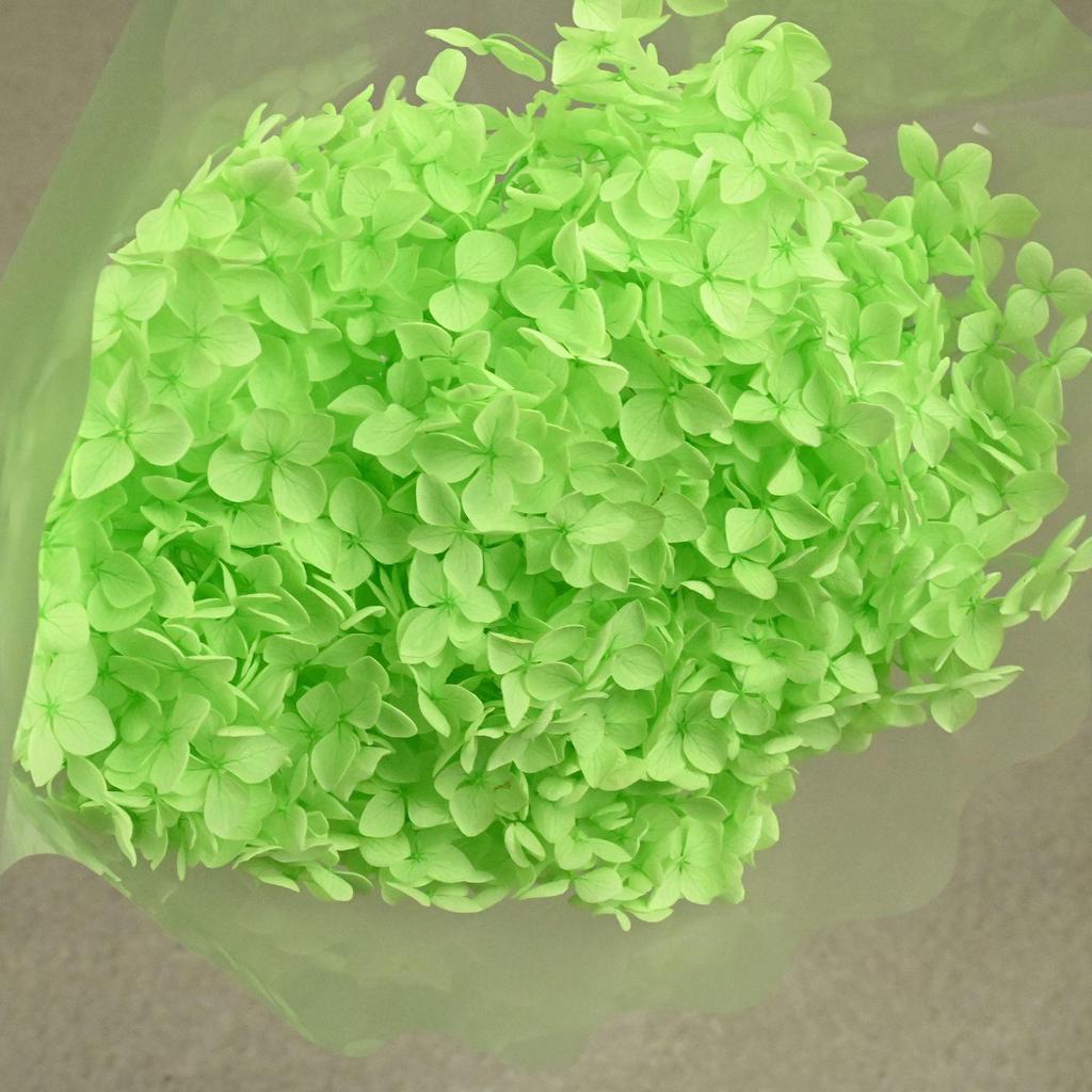 Phantom Flower: Single 20CM Preserved Hydrangea, Handmade Dried Bouquet for Decoration