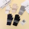 Winter Warm Knitted Touch Screen Imitation Cashmere Gloves for Men and Women with Jacquard Autumn and Winter Woolen Thickened Gloves for Students