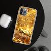 Чехол-бампер с узором из тонкого золота для iPhone 11 12 13 Mini 14 15 Plus 16 Pro Max 17 Air 7 8 + SE Художественный Индивидуальный Fundas