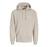 Jack & Jones Sequoia Hoodie