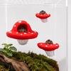 Pilzförmige Kletterleiter für Springspinnen-Terrarium Springspinnen
