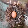 Виниловая пластинка SOUL ASYLUM - Hurry Up And Wait BER1251LPR Blue Élan Recor 2020 US Rock