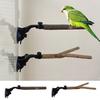 Parrot Perch Stand with Suction Cup Relieve Boredom Natural Wood Birds Toy for Cockatoo Macaw Parakeet
