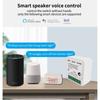 Приложение Graffiti WiFi Smart Switch с дистанционным голосовым управлением Alexa с двойным переключателем управления и скрытым устройством включения/выключения коробки