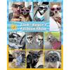 Sunglasses For Dogs Uv Safety Goggles, Dogs Windproof & Anti-fog Goggles