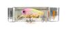 Sale Gamakatsu 19173 Knockin' Roll SR 60 Lure 17 Crystal Candy Crown (6648)
