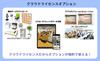 Пакет лицензий Megasoft Office Designer Professional EX облачная версия