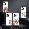 Забавные Глупые Кошки Большие Глаза Чехол Для Телефона Для iPhone17,16,15,14,13,12 Plus,Max Мягкий Силикон Черный Чехол