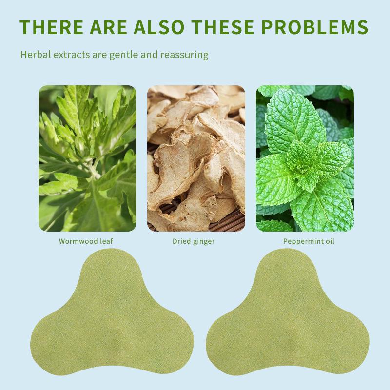 International Mugwort Moxibustion Knee Patch with English Packaging