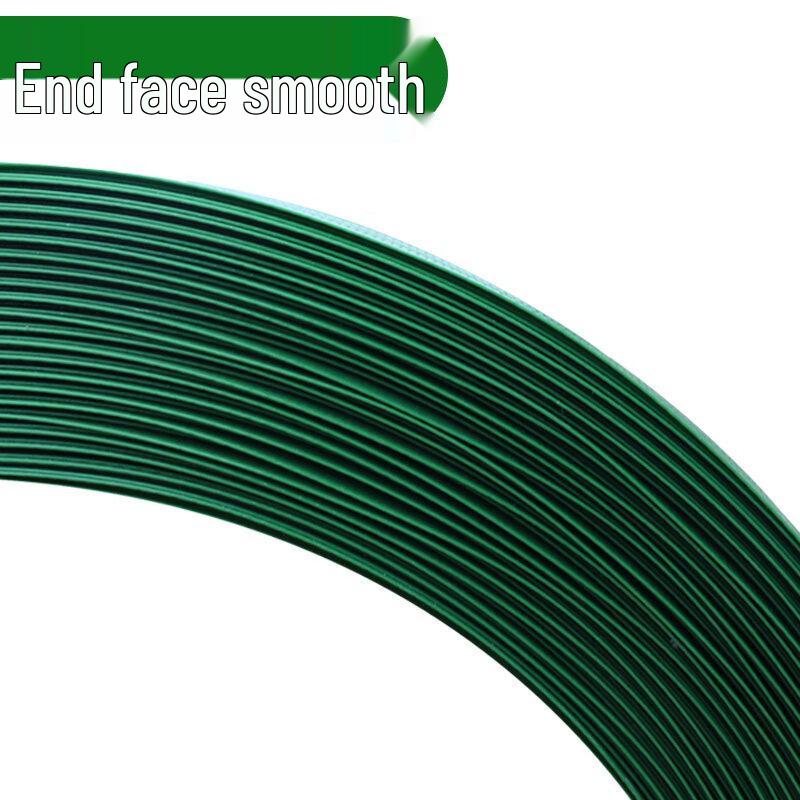 LijiuHong PET Green Packing Strap