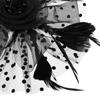 Mesh Flower Wedding Alice Headband Clip Tea Party Headband Feathers Hair Clip Fascinator Hat
