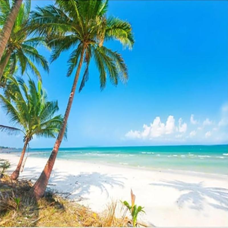 Обои с видом на море, кокосовая пальма, пейзаж, настенная роспись, гостиная, диван, фон, настенное украшение, пляж, настенные росписи для стен