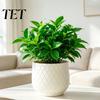 Large White Planters for Indoor Plants Flower Pot with Rhombus Embossed Texture, Heavy Duty Planter Modern Minimalist Pots Windowsill Outdoor Plants,