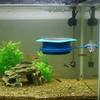 Spill-Free Fish Tank Water Flows Controller Floating Water Filling Accessory  Aquarium