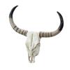 Long Horn Cow Skull Wall Sculpture Animals Heads Decor for Cabinet Home