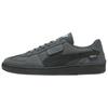 Кроссовки Court Rider Унисекс Puma White Puma Black 403173-02