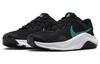 Nike Legend Essential 3 Next Nature 'Черный Прозрачный Нефрит' DM1120-009