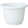 Richell Круглая Чаша Нет. 6 Белый