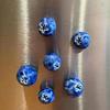 5/6/10Pcs 3D Blueberry Fridge Magnet DIY Home Office Kitchen Locker Fridge Resin