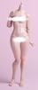 [TOYBARJAPAN] 16 Scale Action Figure Worldbox AT202 White Skin Pale Skin Thick Version Asian Female Body
