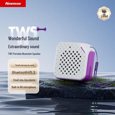 Newmine PBS001 TWS Портативная Bluetooth-колонка CN-вилка (адаптер в комплекте)
