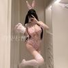Erotic Lingerie, Sexy Leopard Print Bunny Girl Jumpsuit, Open-crotch Uniform, Seductive Role-playing Set 1119