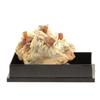 Wulfenite + Baryte 218.5 Carats