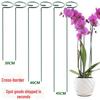 Cross-border Garden Flower Climbing Vine Support Rod