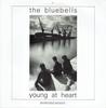 12-дюймовая пластинка BLUEBELLS  Young At Heart Расширенная версия LONX49 LONDON 1984 Великобритания Рок Б/у