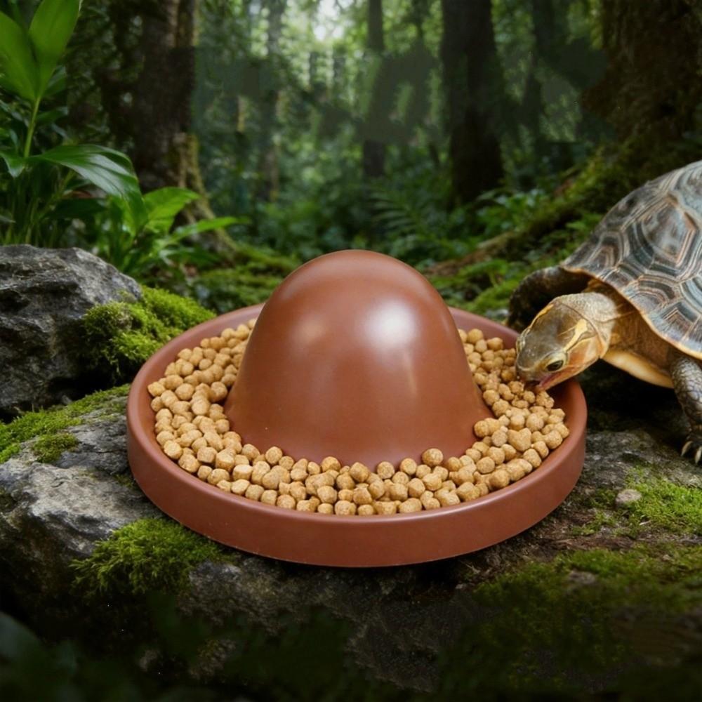 Plastic Reptile Feeder Bowl Round Reptile Water Pot Easy-Clean Feeder Ledge for Amphibians