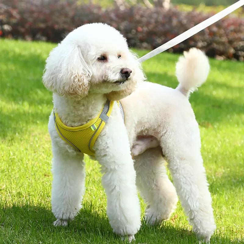 Шлейка для собак для маленьких собак, кошек, светоотражающая шлейка и поводок для домашних животных, регулируемый дышащий нагрудный жилет для домашних животных, поводок, аксессуары для собак