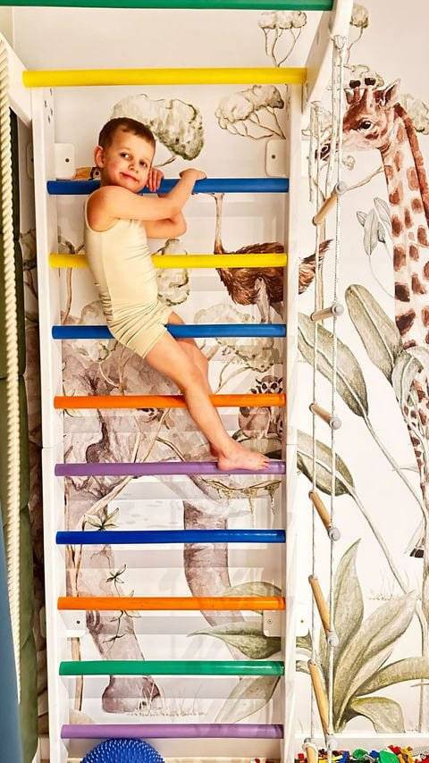 Гимнастическая лестница Hummingbird Plus