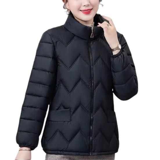 Пальто с хлопковой подкладкой, воротником-стойкой, длинными рукавами, застежкой-молнией, теплая зимняя куртка с карманами, однотонная утолщенная стеганая верхняя одежда