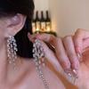Korean super flash zircon fringed earrings women's light luxury stud earrings unique design earrings