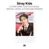 Stray Kids 5-ЗВЕЗДНЫЙ ДOM-ТУР 2023 СЕУЛ СПЕЦИАЛЬНОЕ РАСКРЫТИЕ 13 ПОКУПОК НАГРАДА Официальная фотокарточка