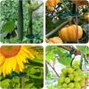 30PCS Plant Clips Reusable Greenhouse Bracket For Fixed Plants Vine Flower Seedling Tomatoes Support Garden Supplies