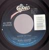 7-дюймовая пластинка ALICE COOPER House Of Fire 3473085 EPIC 1989 США Рок Б/У