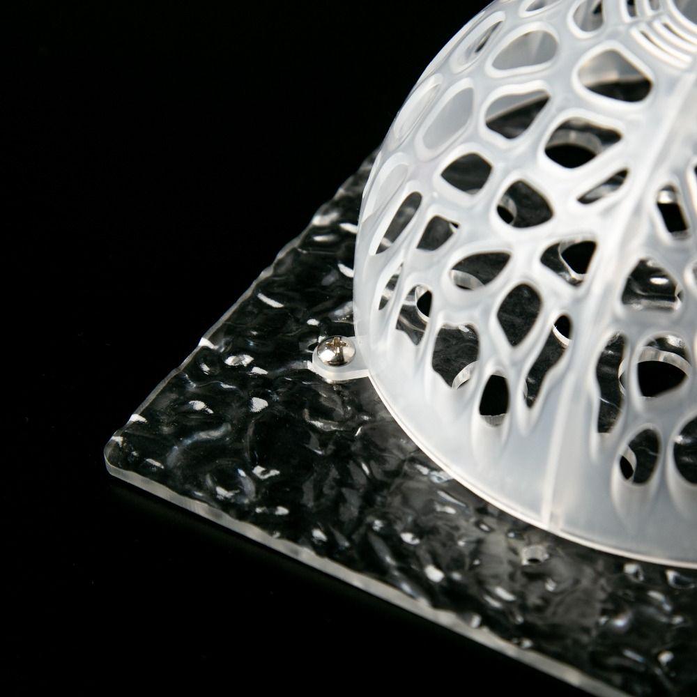 Transparent Plants Soil Protector Cover Reusable Plastic Planting Cover for Flower Lovers