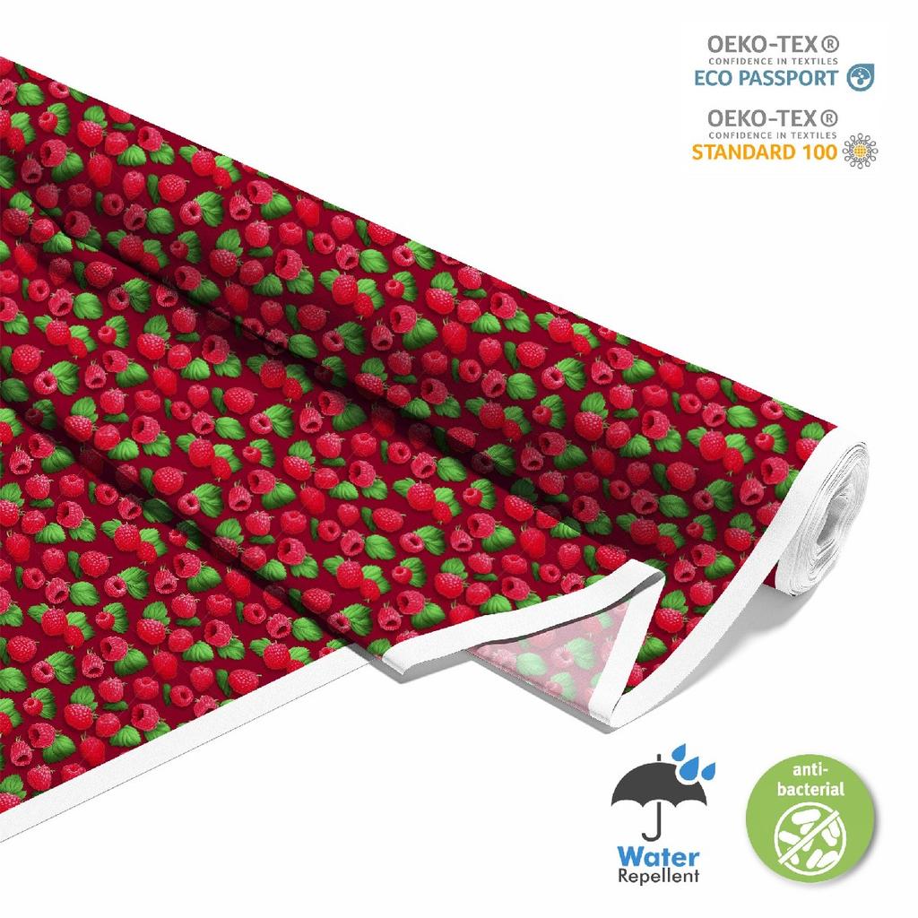 Outdoor Dekostoffe Oxford - Motiv Obst | Dx6420
