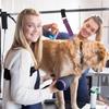 Pet Dog Grooming Arm Accessories - Dogs Loop Pets Grooming Loops Extension Straps 2 PCS Adjustable Secure and Stable Loop Extender Bathing Restraint