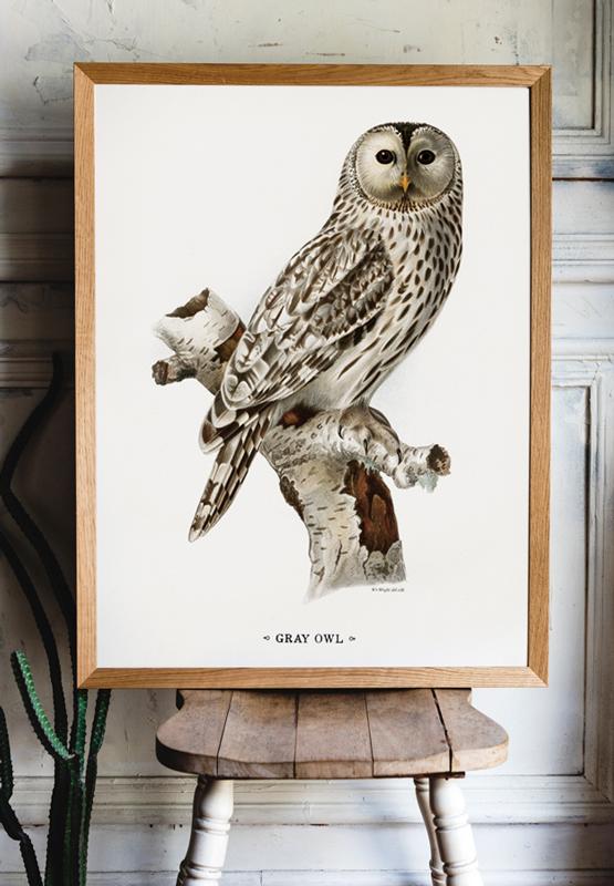 Owl Vintage Poster