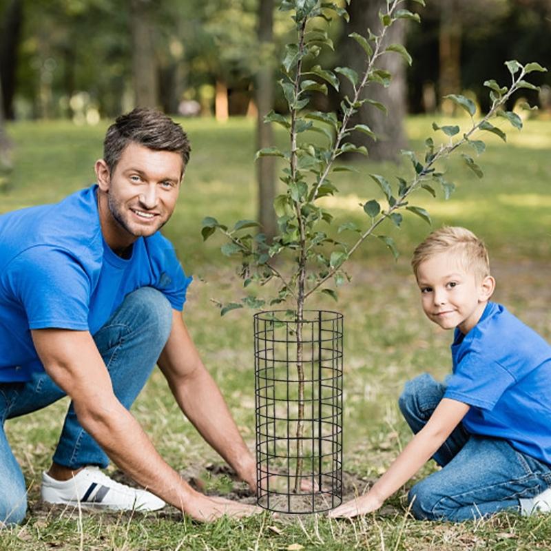 Защитники стволов деревьев 6 шт. Защитники растений с молниями Металлические колышки Садовая защита Обертка для дерева Клетка для защиты от повреждений