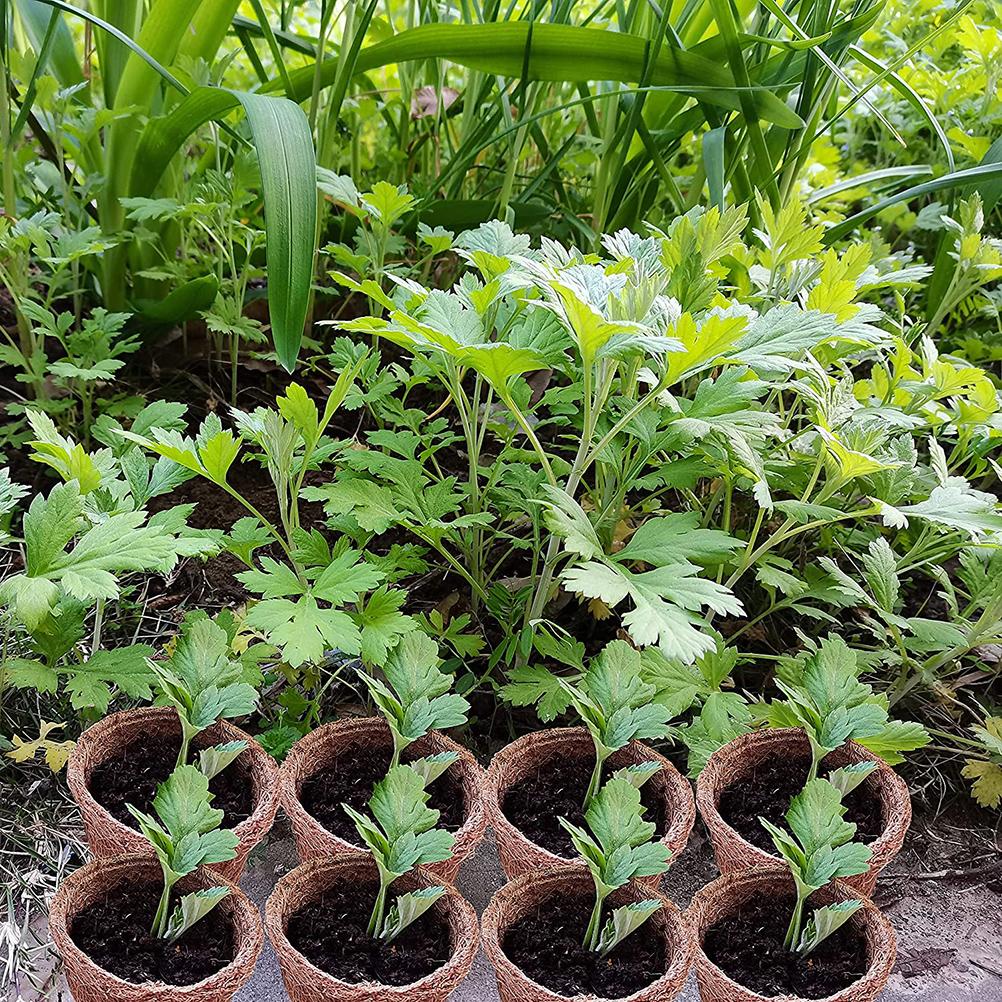 30 шт. горшки для проращивания семян кокоса биоразлагаемые горшки для рассады для домашнего садового инструмента