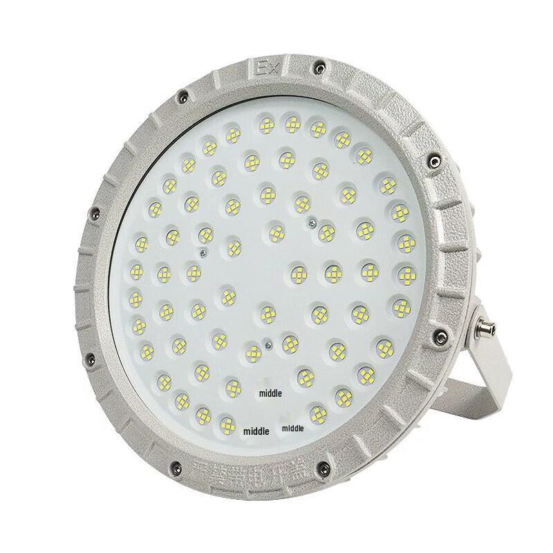 Industrial LED Explosion-Proof Light