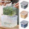 Fooding Sorting Drain Storage Box Onion Garlic Seal Box Durable Storage Containers
