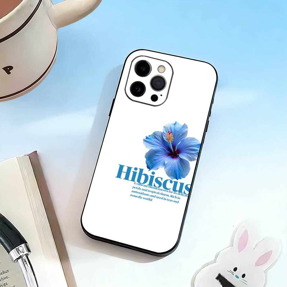 Group singer-KATSEYE Phone Case For iPhone 17,16,15,14,13,12,11 Plus,Pro Max,XS,Soft Silicone Black Cover