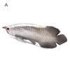 Freshwater Chinese Sturgeon Arowana Fish Simulation Model Toy Aquarium Decor