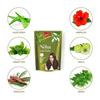 Neha Herbals Хна - 500 г (Упаковка из 2 шт.)