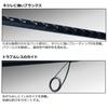 DAIWA SEABASS FLAT X 100M fishing rod